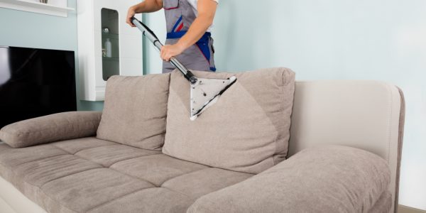 Know about the Maintenance of Upholstery Cleaning